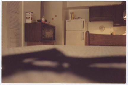 Cindys kitchen as taken by linden - july 1986