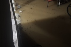 20260820_023703323_iOS