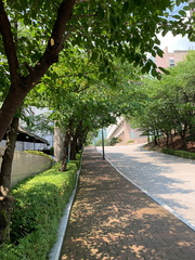 20190805 009