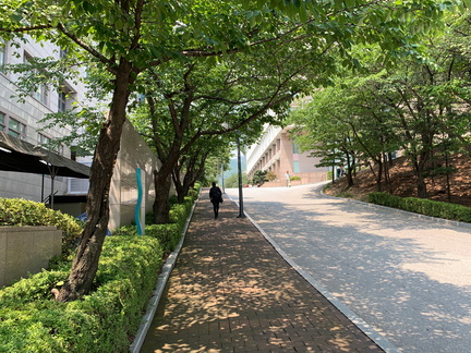 20190805 012