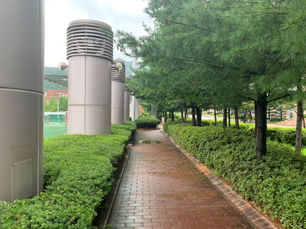 20190807 033