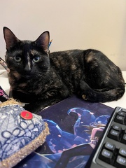 20230302 163922848 iOS