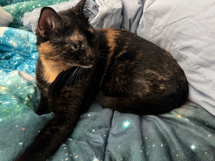 20230305 221507402 iOS